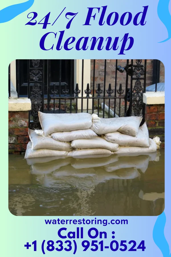 24/7 Flood Cleanup in Mark, IL