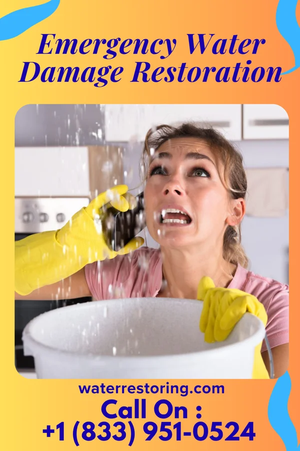 Emergency Water Damage Restoration in Mark, IL