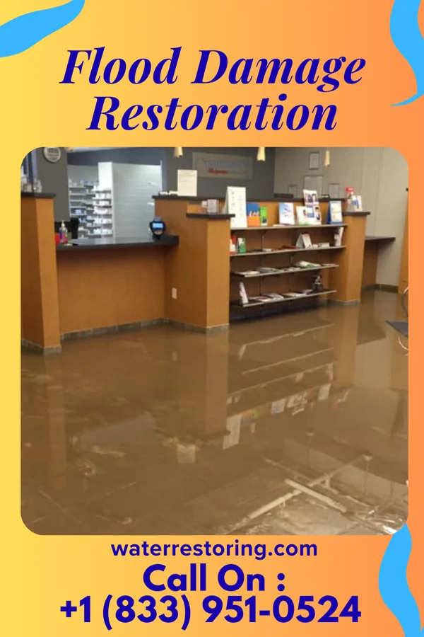 Flood Damage Restoration in Mark, IL