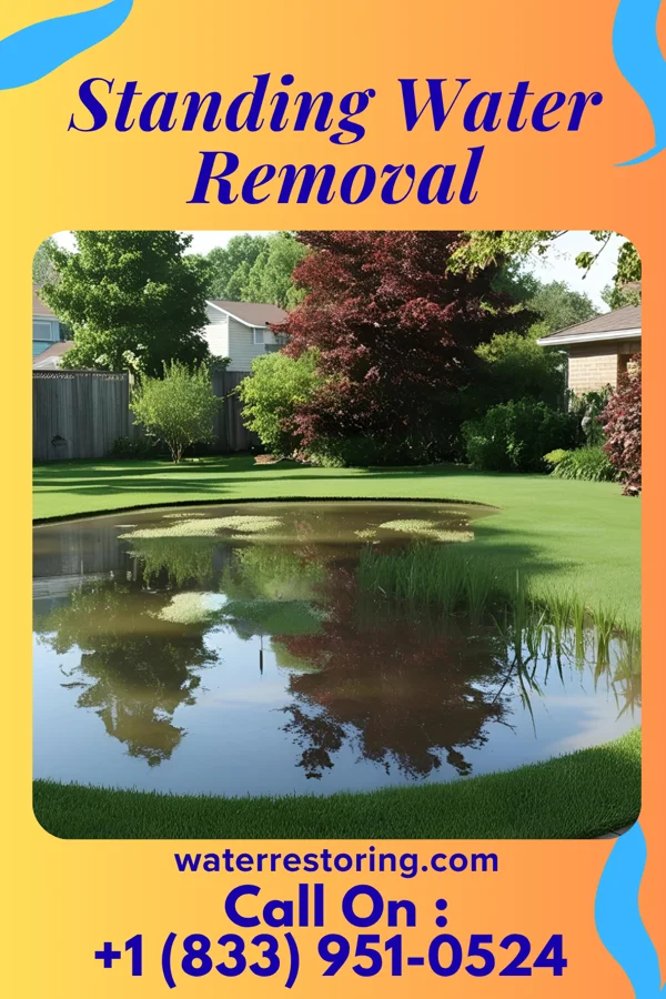 Standing Water Removal in Mark, IL